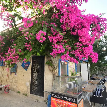 Hotel Usta X Cirak Butik Alaçatı